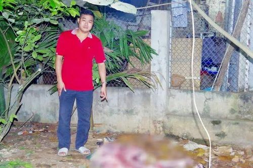 7 đối tượng lãnh án tù vì tàng trữ và giết hổ nấu cao
