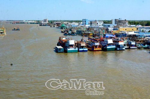 Mùi Tết xứ biển