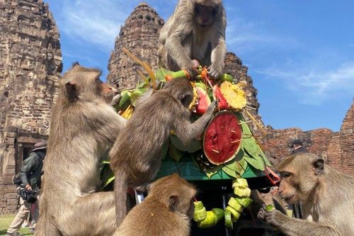 Một thành phố Thái Lan bị bủa vây bởi khỉ