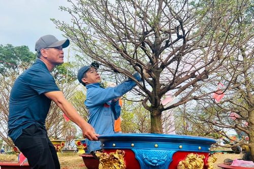 Nhộn nhịp chợ hoa Tết Đà Nẵng
