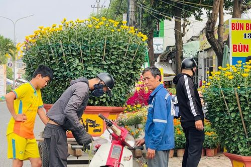 Sắc xuân rực rỡ ở chợ hoa Tết lớn nhất Quảng Ngãi