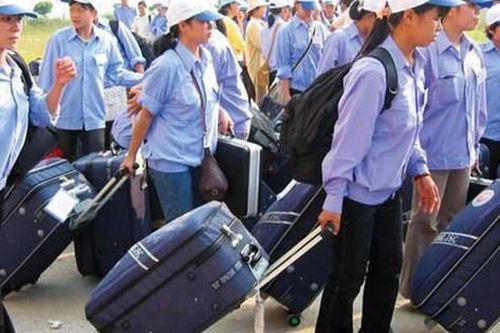Đơn giản hóa TTHC về đánh giá kỹ năng nghề và đưa lao động Việt Nam đi làm việc ở nước ngoài