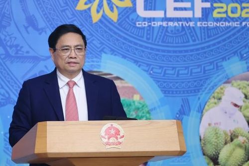 Hợp tác xã phải chủ động thoát khỏi những rào cản mang tính cố hữu để tự lực, tự cường vươn lên