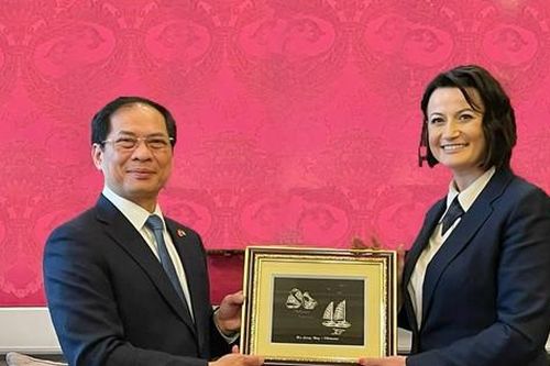 Bỉ sẽ sớm có dự án hỗ trợ Việt Nam tẩy rửa chất độc da cam