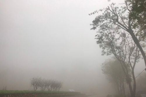 Chuyên gia lý giải hiện tượng sương mù dày đặc tại Hà Nội