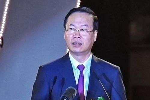 Chủ tịch nước: Thành công của kiều bào luôn là niềm tự hào cho Tổ quốc