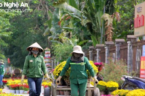 Công ty CP Công viên cây xanh TP Vinh: Góp sức cho thành Vinh 'xanh - sạch - đẹp'