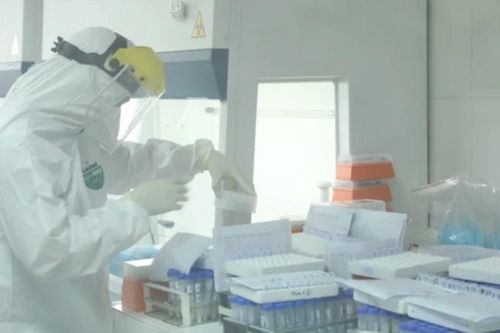 Bộ Y tế: Biến thể JN.1 vẫn gia tăng, tiếp tục lấy mẫu giải trình tự gene