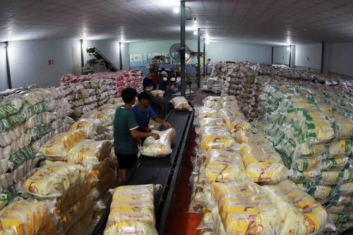 Doanh nghiệp Việt trúng thầu 300.000 tấn gạo xuất sang Indonesia