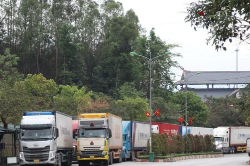 Hải quan Trung Quốc đề nghị tăng kiểm soát chất lượng nước dừa đông lạnh