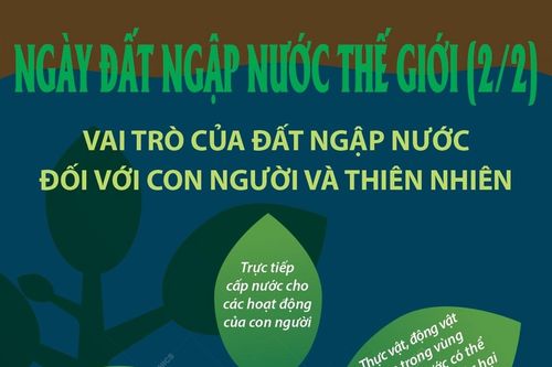 Vai trò của đất ngập nước đối với con người và thiên nhiên