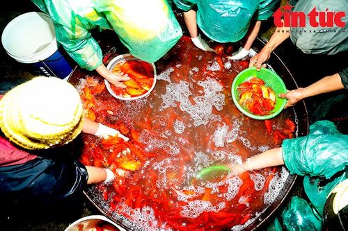 Chợ Yên Sở đỏ ối cá chép tiễn ông Công ông Táo về trời