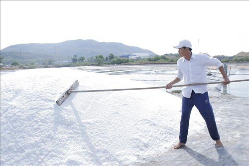 Giá muối giảm, diêm dân vẫn có lãi