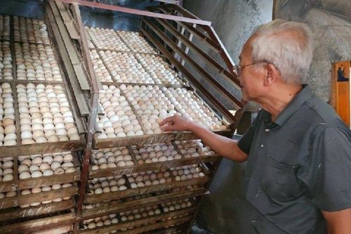 Lão nông thu tiền tỷ nhờ nuôi loài vật xưa chỉ dành cho vua chúa