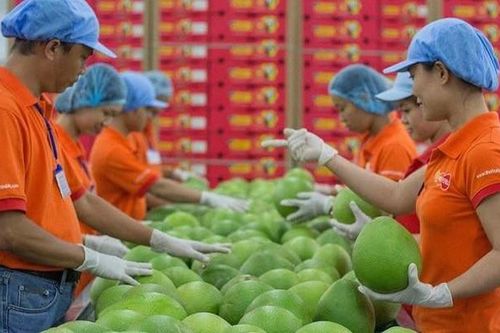 EU tiếp tục ban hành quy định về dư lượng thuốc bảo vệ thực vật với hàng nông sản