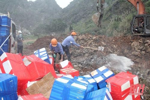 Tiêu hủy 4.525 kg cá khoai nhiễm Formaldehyde