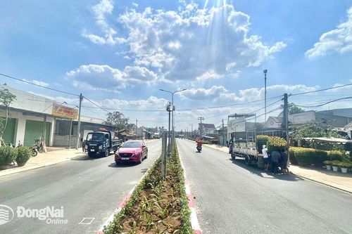 TP.Long Khánh: Tất bật chỉnh trang đô thị đón Tết
