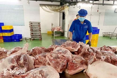 Trái ngược với nhiều năm, giá heo hơi bất ngờ hạ nhiệt vào cao điểm Tết Giáp Thìn 2024