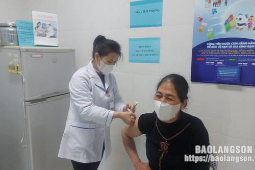 Không chủ quan với bệnh dại