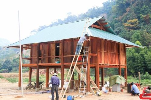 Mùa xuân trên bản Tô Quỳnh