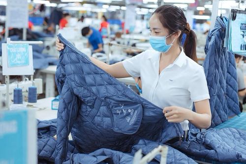 Dệt may TNG: Khởi đầu năm mới thuận lợi, doanh số tháng 1/2024 tăng gần 32%