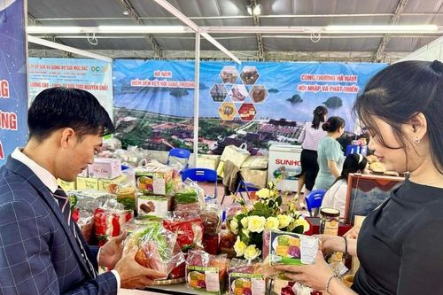 Đổi mới, đa dạng hoạt động xúc tiến thương mại mở rộng thị trường xuất khẩu