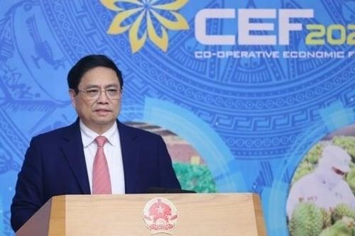 Thủ tướng: Tỷ trọng đóng góp của khu vực kinh tế tập thể vào GDP còn thấp