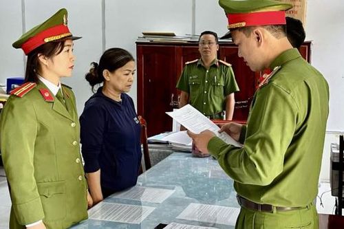 Bắt đối tượng lừa vay tiền để kinh doanh đất đai, chiếm đoạt hơn 2 tỷ đồng