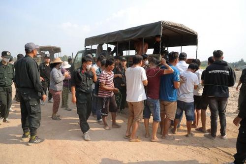 Phá trường gà di động ở các vườn cao su, mãng cầu