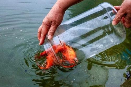 Muôn kiểu người dân Hà Nội 'tiễn ông Táo về trời'