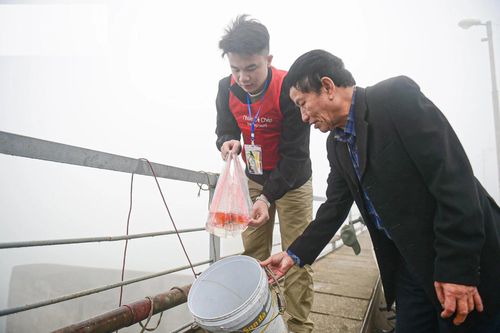 Nhóm bạn trẻ ở Hà Nội tình nguyện giúp dân 'thả cá, không thả nylon'