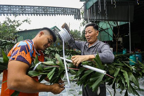 Bỏ túi tiền triệu mỗi ngày từ dịch vụ làm cây 'trừ tà'