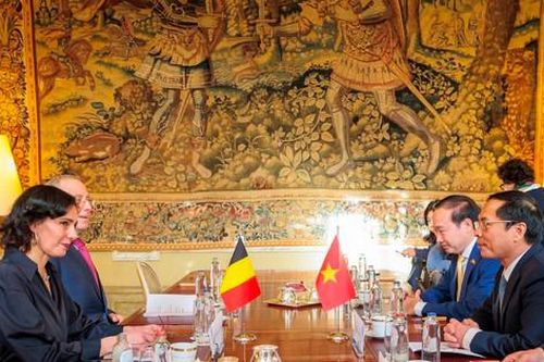 Thúc đẩy hợp tác Việt Nam - Bỉ đi vào chiều sâu và ngày càng thiết thực