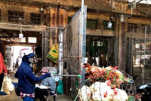 Chợ gia cầm Hà Vỹ vào 'vụ buôn bán' lớn nhất năm
