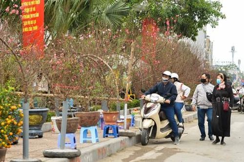 Dự báo thời tiết sáng 2/2: Miền Bắc nắng ấm, kết thúc rét đậm; Nam Bộ khô hạn kéo dài