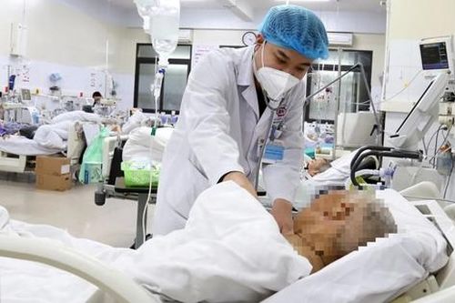 Ăn lá ngón, người phụ nữ ngừng tim, ngừng thở