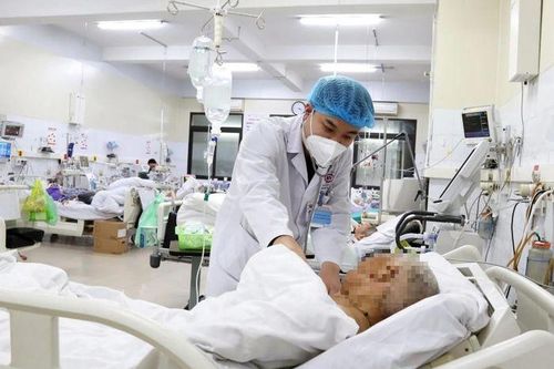 Người phụ nữ ngừng tim vì ăn loại lá cực độc