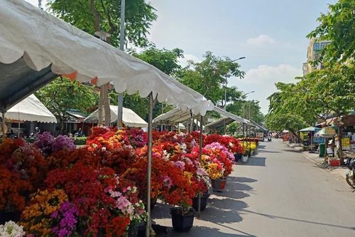 TP. HCM: Chợ hoa Tết Gò Vấp xuân Giáp Thìn 2024 có gì?