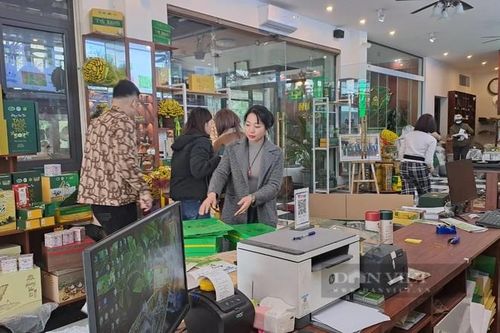 Chè Thái Nguyên bán ra vèo vèo dịp Tết