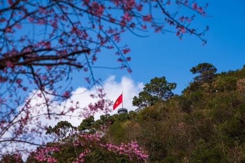 Tết này đi du lịch ở đâu?