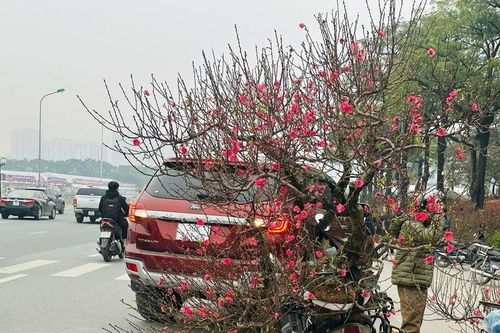 Những nghề 'hốt bạc' cận Tết
