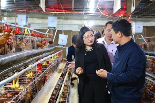 Sáp nhập và những vấn đề cần tháo gỡ