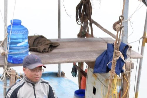 Nuôi hàu bán Tết, người dân phấn khởi vì '1 vốn, 4 lời'