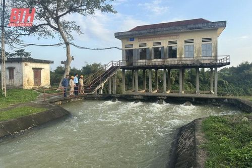 Thạch Thành: Chủ động bảo đảm nước tưới cho cây trồng vụ chiêm xuân