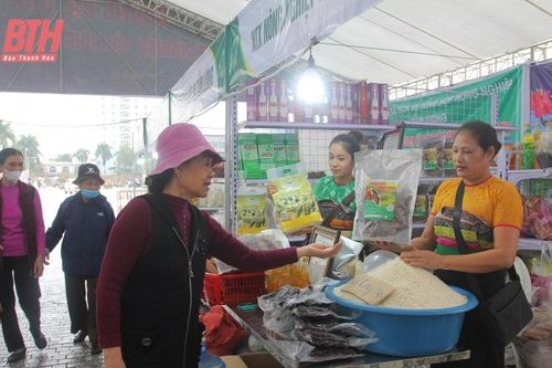Thỏa sức sắm tết tại không gian quảng bá, trưng bày sản phẩm nông nghiệp và sản phẩm OCOP