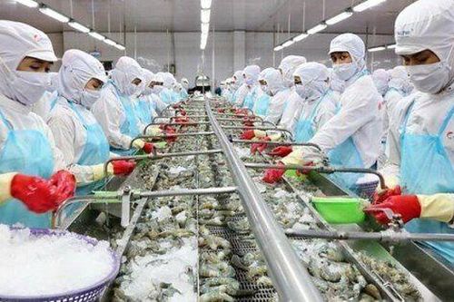 Sao Ta mở đầu năm 2024 thuận lợi, doanh thu hơn 19 triệu USD