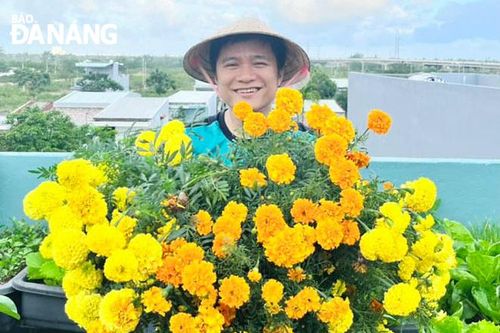 Xuân về qua ngõ