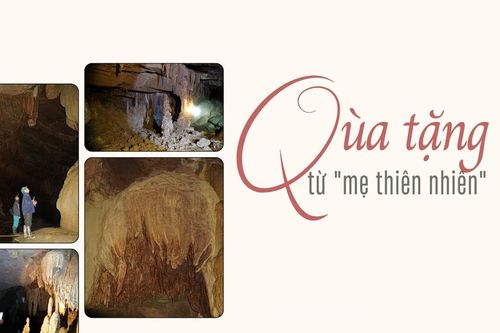 Quà tặng từ 'mẹ thiên nhiên'