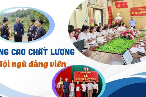 Nâng cao chất lượng đội ngũ đảng viên
