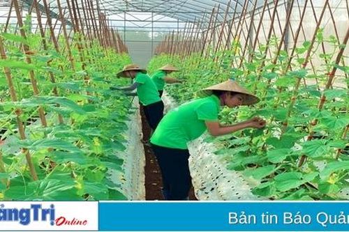 Làm nông một cách khác biệt